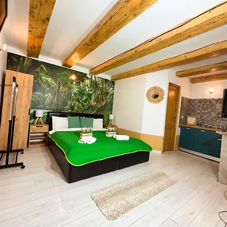 Apartment Saturn Lux Craiova